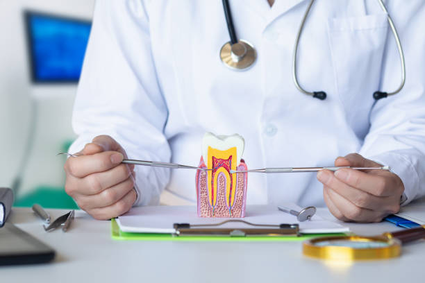 Best Mobile Emergency Dentist in Yellow Springs, OH
